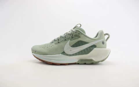 耐克Nike Pegasus Reactx TRAIL 5越野5代慢跑鞋 莆田耐克跑鞋代理 货号：DV3864-304